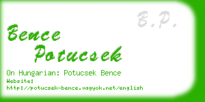 bence potucsek business card